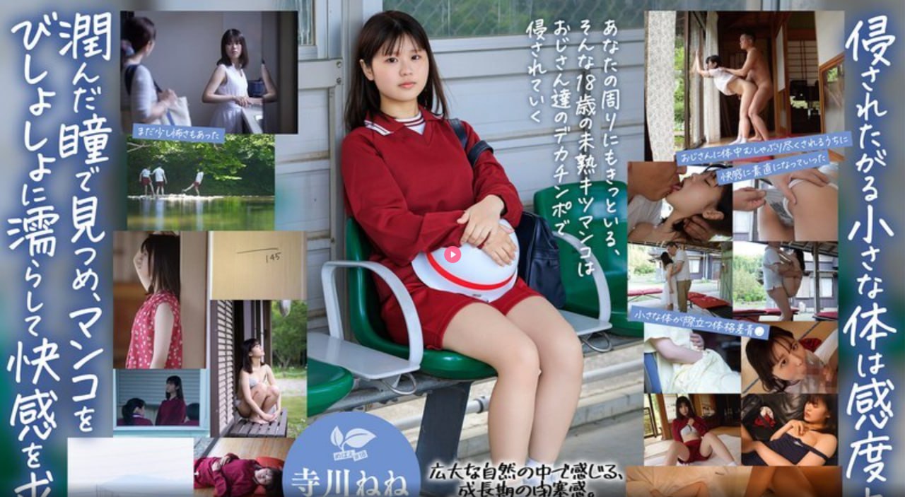 摸BBB揉BBB揉BBB视-完结免费观看视频中文